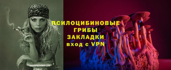 герыч Мегион