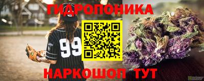 прущие грибы Жуковский