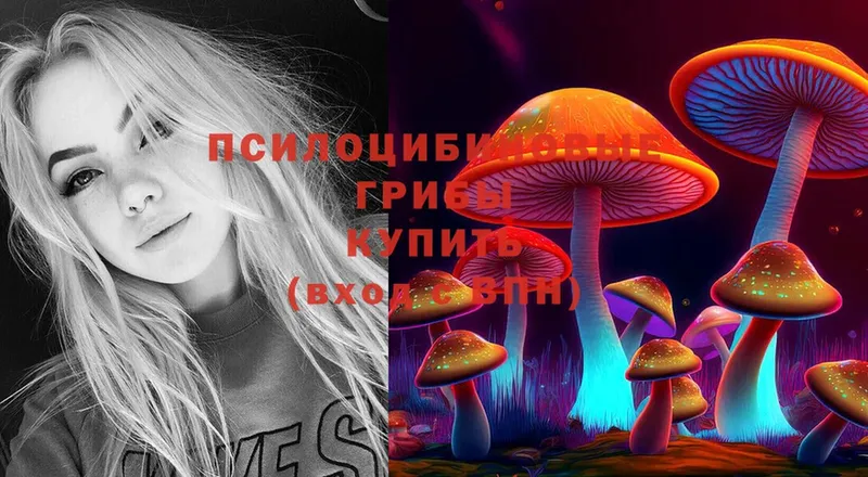 Галлюциногенные грибы Psilocybe  Кызыл 